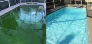 Загрязнение бассейна водорослями