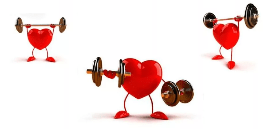 Работа сердца