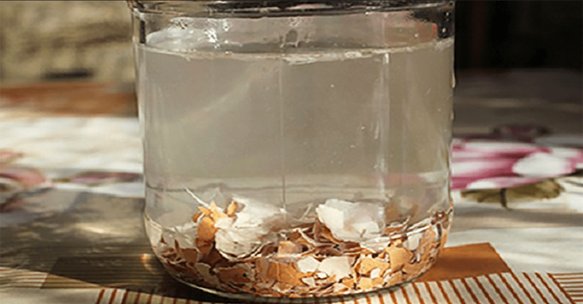 Яичная скорлупа