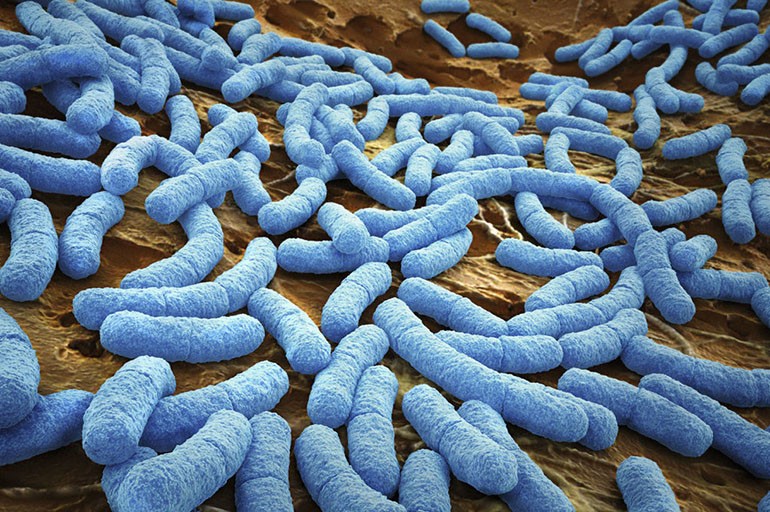 Биохимическая технология