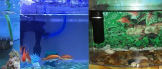 Водонагреватель для аквариума